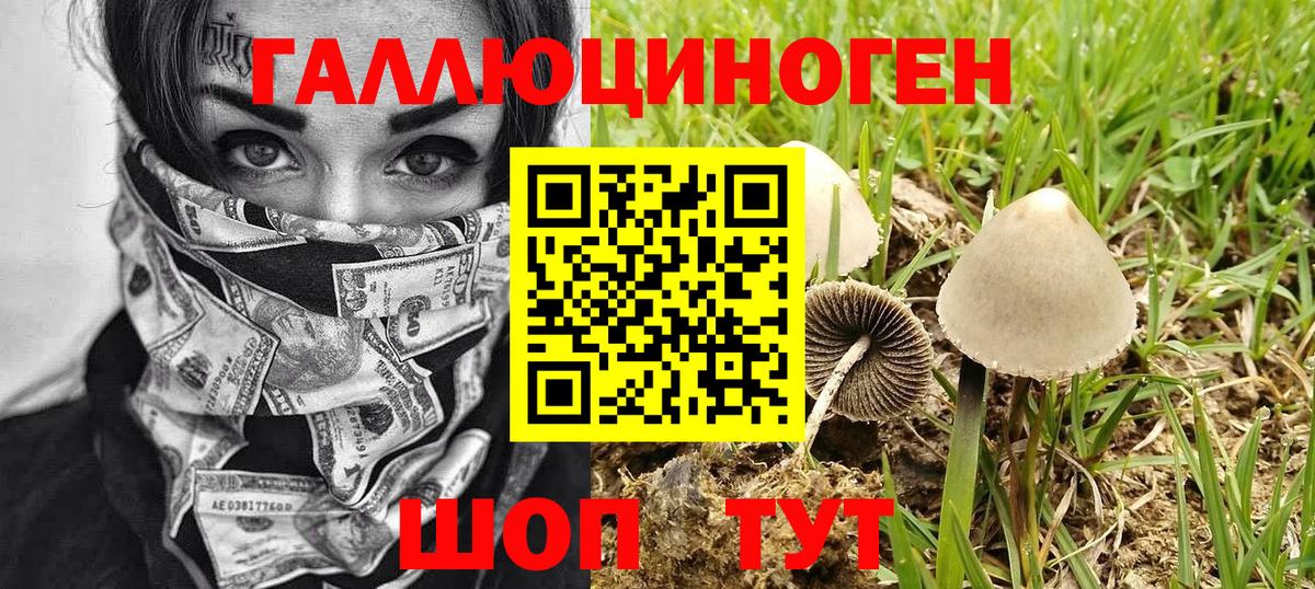 Псилоцибиновые грибы GOLDEN TEACHER  Вход с VPN  Рассказово 