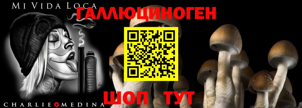 Галлюциногенные грибы MAGIC MUSHROOMS Рассказово